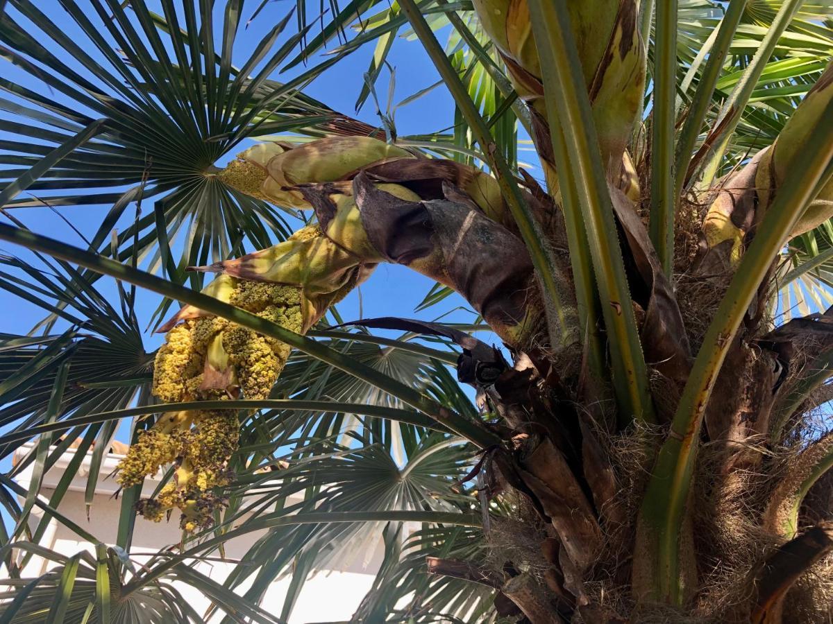 Le Rendez Vous Des Vacances Fouras Exterior foto